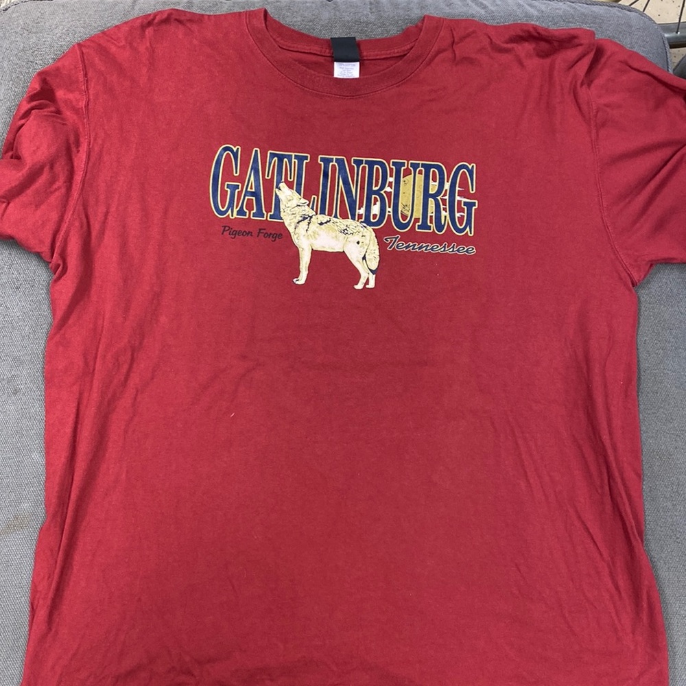 Mens Gatlinburg, TN Vintage Shirt